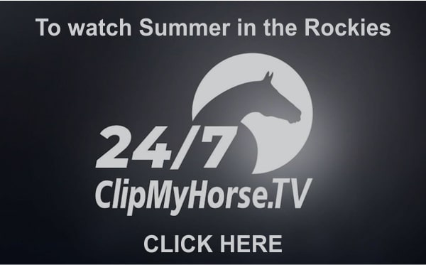 Clip My Horse Tv